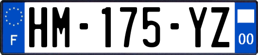 HM-175-YZ