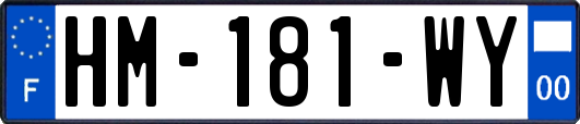 HM-181-WY