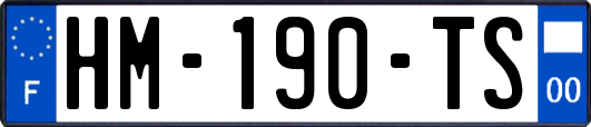 HM-190-TS