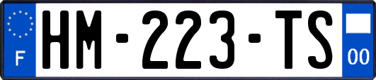 HM-223-TS