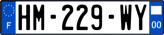 HM-229-WY