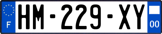 HM-229-XY