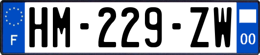 HM-229-ZW