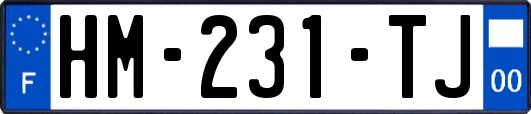 HM-231-TJ