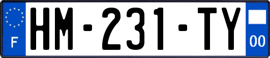 HM-231-TY