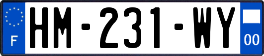 HM-231-WY