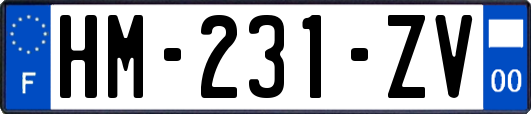 HM-231-ZV