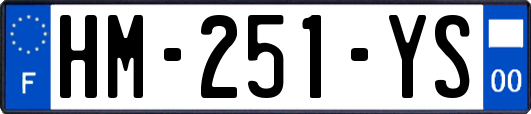 HM-251-YS