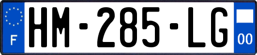 HM-285-LG