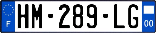 HM-289-LG