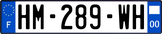 HM-289-WH