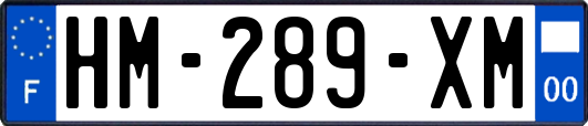 HM-289-XM