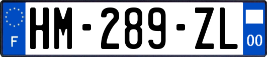 HM-289-ZL