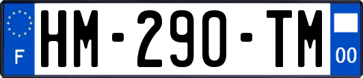 HM-290-TM