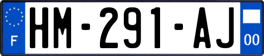 HM-291-AJ