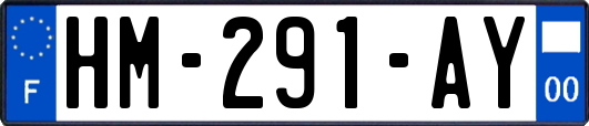 HM-291-AY