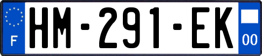 HM-291-EK