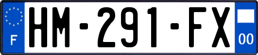 HM-291-FX