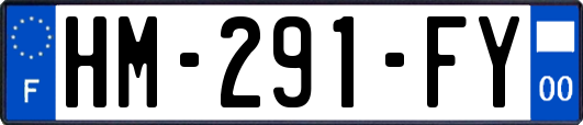 HM-291-FY