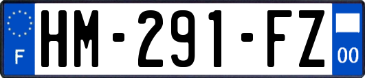 HM-291-FZ