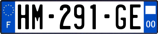 HM-291-GE