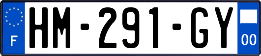 HM-291-GY