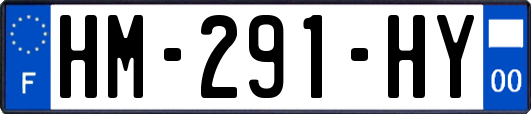 HM-291-HY