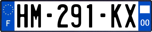 HM-291-KX