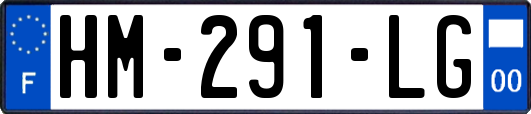 HM-291-LG