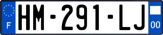 HM-291-LJ