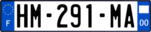 HM-291-MA