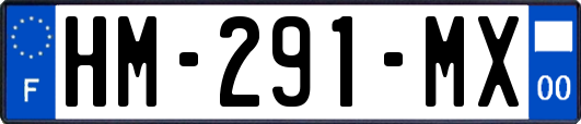 HM-291-MX