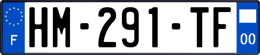 HM-291-TF