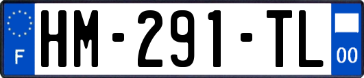 HM-291-TL