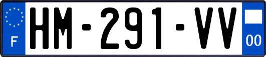 HM-291-VV