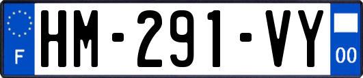 HM-291-VY