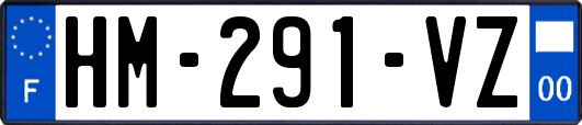 HM-291-VZ