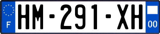HM-291-XH
