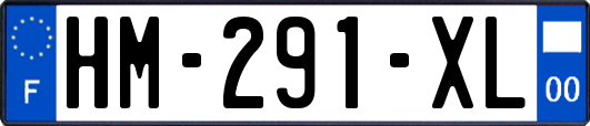 HM-291-XL