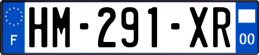 HM-291-XR