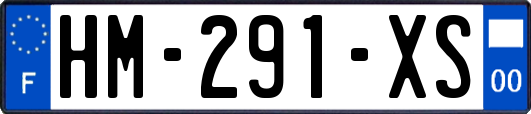 HM-291-XS