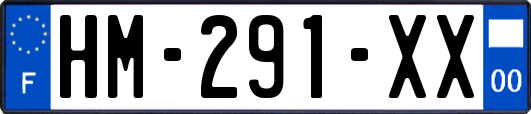HM-291-XX
