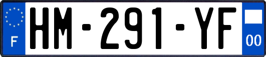 HM-291-YF