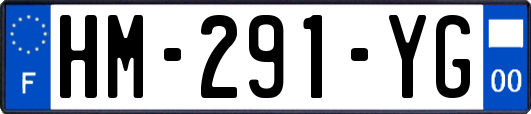 HM-291-YG