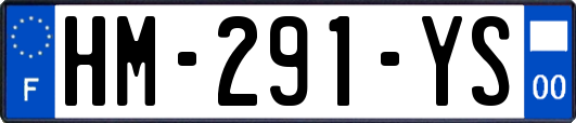 HM-291-YS