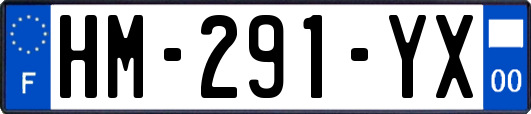 HM-291-YX