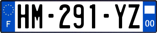 HM-291-YZ
