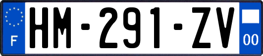 HM-291-ZV