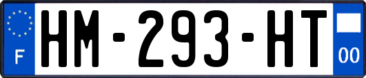 HM-293-HT