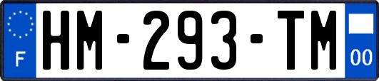HM-293-TM
